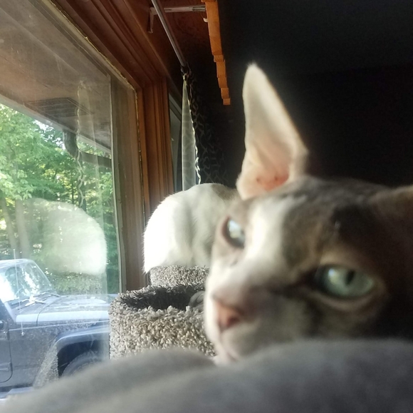 Meet your Posher, Sally - Picture 10 of 14